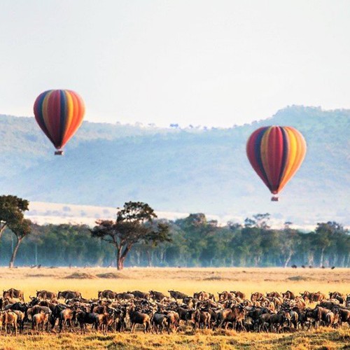 Viaje en globo por el Serengeti 