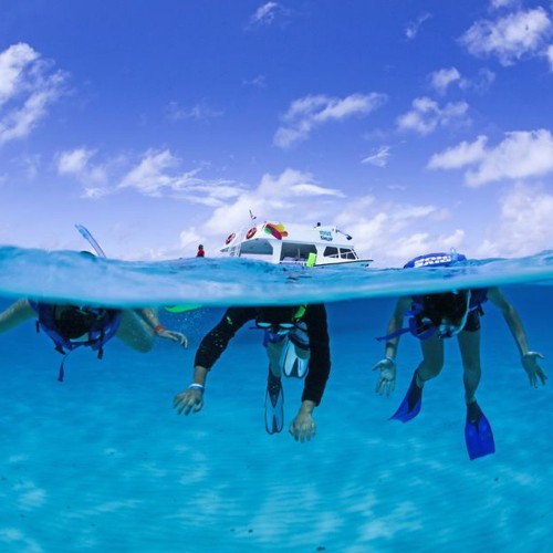 Snorkel Adventure Riviera Maya
