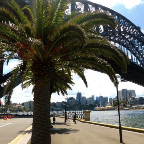 Sydney- Tour de Día Completo por Sydney Semi Spectacular