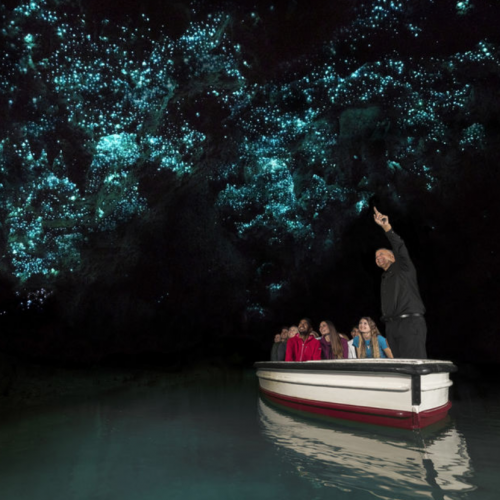 Waikato- Tour Compartido de 45 minutos en las Cuevas de Waitomo Glowworm