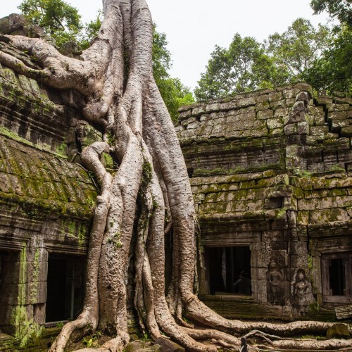 Aventura en Angkor