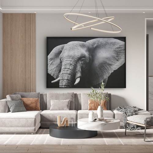 Cuadro Big Elephant