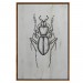 Cuadro Escarabajo Grafito